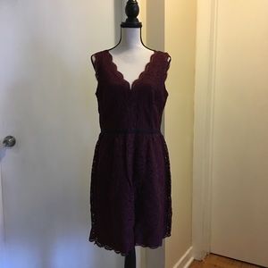NWT Ann Taylor Loft Burgundy Lace Dress - Sz 12